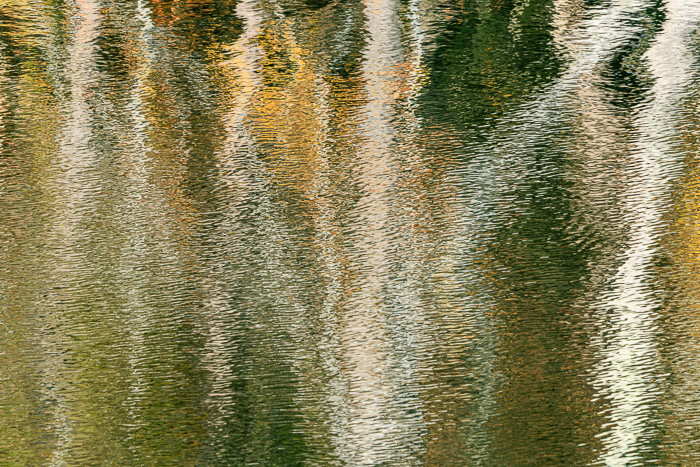 Abstract;Abstraction;Autumn;Blue;Branches;Brown;Calm;Concepts;Cool Colors;Cool Palette;Cool Tones;Fall;Fall Creek Falls State Resort Park;Forest;Forested;Gold;Green;Greens;Healing;Health care;Healthcare;Leaf;Leaves;Line;Minimalism;Mirror;Modern;Nature;Oneness;Pastoral;Personal;Pool;Ripple;Shape;State Park;Sunlight;Tan;Tennessee;Timber;Timberland;Tree;United States;Water;Waterscape;Wood;Woodland;Woods;Yellow;biophilic design;biophilic interior design;color;contemporary;contemporary art;foliage;lake;leaves;limbs;modern art;pattern;peaceful;plants;reflection;reflections;restful;serene;soothing;sunlit;texture;tranquil;tree;tree limbs;trees;trunk;zen